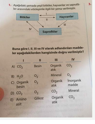 1. Aşağıdaki şemada yeşil bitkiler, hayvanlar ve saprofit-
ler arasındaki etkileşimle ilgili bir şema verilmiştir.
Bitkiler
I
A) CO₂
IV
D) CO₂
E) Amino
asit
Buna göre I, II, III ve IV olarak adlandırılan madde-
ler aşağıdakilerden hangisinde doğru verilmiş