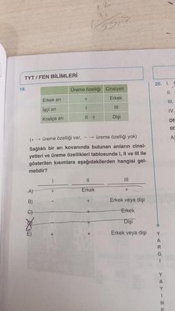 TYT/FEN BİLİMLERİ
18.
Erkek arı
İşçi arı
Kraliçe arı
A)
B)
G)
1
+
12
41
55,5
Üreme özelliği Cinsiyeti
Erkek
+
(+→ üreme özelliği var,
üreme özelliği yok)
Sağlıklı bir arı kovanında bulunan arıların cinsi-
yetleri ve üreme özellikleri tablosunda I, II ve III ile
gösterilen kısımlara aşağıdakilerden hangisi gel-
melidir?
II +
Dişi
||
Erkek
|||
+
Erkek veya dişi
Erkek
Dişi
Erkek veya dişi
20. I.
YARG
I
Y
A
Y
1
N
F
II.
III.
IV.
DM
or
A)