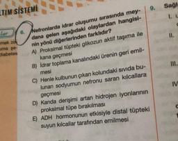 LTIM SİSTEMİ
lar
mek zo
uma şe-
diabetes
Nefronlarda idrar oluşumu sırasında mey-
dana gelen aşağıdaki olaylardan hangisi-
nin yönü diğerlerinden farklıdır?
A) Proksimal tüpteki glikozun aktif taşıma ile
kana geçmesi
B) Idrar toplama kanalındaki ürenin geri emil-
mesi
C) Henle kulbunun çıkan kolundaki sıvıda bu-
lunan sodyumun nefronu saran kılcallara
geçmesi
D) Kanda derişimi artan hidrojen iyonlarının
proksimal tüpe bırakılması
E) ADH hormonunun etkisiyle distal tüpteki
suyun kılcallar tarafından emilmesi
9. Sağl
1. C
C
III.
IV
C