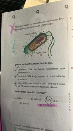 9
3. Aşağıdaki şekilde bir bakteri hücresinde bulunan DNA
molekülleri numaralandırılarak gösterilmiştir.
Bakteri DNA's
Plazmit DNA
Şekilde verilen DNA molekülleri ile ilgili,
I numaralı DNA, tüm bakteri hücrelerinde ortak
olarak bulunur.
A) Yalnız I
VII numaralı DNA, konjugasyonla bir başka bakteriye
aktarılabilir.
Hücre bölünmesi sırasında hem I hem de Il numa-
ralı DNA eşlenerek yavru hücrelere aktarılır.
ifadelerinden hangileri doğrudur?
D) II ve III
9
B) Yalnız II
C) ve II
E) I, II ve Ill
4. Saprofit (çürükçül) beslenen bir bakterinin
bir protein molekülü
5.
RHMOTHN
6.