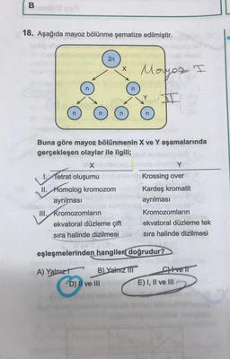 B
18. Aşağıda mayoz bölünme şematize edilmiştir.
III. Kromozomların
2n
ekvatoral düzleme çift
sıra halinde dizilmesi
Buna göre mayoz bölünmenin X ve Y aşamalarında
gerçekleşen olaylar ile ilgili;
X
1. Tetrat oluşumu
II. Homolog kromozom
ayrılması
A) Yalnız
X
n
D) II ve III
Moyoz I
I
B) Yalnız III
eşleşmelerinden hangileri doğrudur?
Y
Krossing over
Kardeş kromatit
ayrılması
Kromozomların
ekvatoral düzleme tek
sıra halinde dizilmesi
Cvett
E) I, II ve III