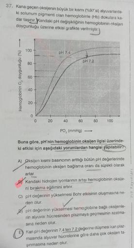 37. Kana geçen oksijenin büyük bir kısmı (%97'si) alyuvarlarda-
ki solunum pigmenti olan hemoglobinle (Hb) dokulara ka-
dar taşınır. Kandaki pH değişikliğinin hemoglobinin oksijen
doygunluğu üzerine etkisi grafikte verilmiştir.
Hemoglobinin O, doygunluğu (