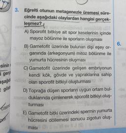 sinin s
i gerç
aşağıd
göst
Cisimo
Dr
3. Eğrelti otunun metagenezle üremesi süre-
cinde aşağıdaki olaylardan hangisi gerçek-
leşmez?
NGV
sio abrigaleső emcül
A) Sporofit bitkiye ait spor keselerinin içinde
mayoz bölünme ile sporların oluşması
niinta
B) Gametofit üzerinde bulunan dişi eşey or-
qay ganinda (arkegonyum) mitoz bölünme ile
yumurta hücresinin oluşması
C) Gametofit üzerinde gelişen embriyonun
kendi kök, gövde ve yapraklarına sahip
olan sporofit bitkiyi oluşturması
blod
D) Toprağa düşen sporların uygun ortam bul-
esmio duklarında çimlenerek sporofit bitkiyi oluş-
turması
67
E) Gametofit bitki üzerindeki spermin yumurta
hücresini döllemesi sonucu zigotun oluş-
Meması
6.