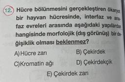 12.) Hücre bölünmesini gerçekleştiren ökaryot
bir hayvan hücresinde, interfaz ve ana-
faz evreleri arasında aşağıdaki yapılardan
hangisinde morfolojik (dış görünüş) bir de
ğişiklik olması beklenmez?
A) Hücre zarı
C) Kromatin ağı
B) Çekirdek
D) Çekirdekçik
E) Çekirdek zarı