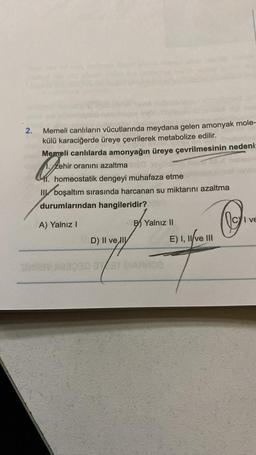 2.
Six
Memeli canlıların vücutlarında meydana gelen amonyak mole-
külü karaciğerde üreye çevrilerek metabolize edilir.
Memeli canlılarda amonyağın üreye çevrilmesinin nedeni:
1. Zehir oranını azaltma
homeostatik dengeyi muhafaza etme
Il boşaltım sırasında harcanan su miktarını azaltma
durumlarından hangileridir?
A) Yalnız I
D) II velly
B Yalnız II
3030 313T DIARMOS
E) I, II ve III
Dive
CI ve