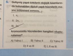 n
k
5. Gelişmiş yapılı bitkilerin değişik kısımların-
queda bulunabilen diploit yapılı hücrelerin ma-
yoz bölünmesi sonucu,
1. n,
bli innstal AMO (A
-elsi II. 2n,
III. 3P
kromozomlu hücrelerden hangileri oluştu-
rulamaz?
les
-A) Yalnız I
ansimo
isib Xarelo lis
Hallfal B) Yalnız II
D) II ve III
(0
C) Yalnız III
E) I, II ve III