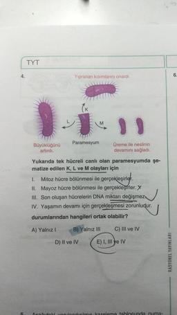 4.
5
TYT
Büyüklüğünü
artırdı.
Yıpranan kısımlarını onardi.
Paramesyum
M
Üreme ile neslinin
devamını sağladı.
Yukarıda tek hücreli canlı olan paramesyumda şe-
matize edilen K, L ve M olayları için Fast U
D) II ve IV
I.
Mitoz hücre bölünmesi ile gerçekleşirler.
II. Mayoz hücre bölünmesi ile gerçekleşirler. X
III. Son oluşan hücrelerin DNA miktarı değişmez
IV. Yaşamın devamı için gerçekleşmesi zorunludur.
durumlarından hangileri ortak olabilir?
A) Yalnız I
B) Yalnız III
C) III ve IV
E) I, III ve IV
Asağıdaki yapılandırılmış kareleme tablosunda numa-
RASYONEL YAYINLARI
6.