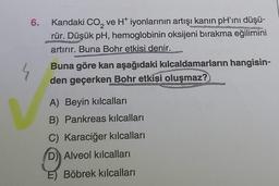 6.
2
Kandaki CO₂ ve H* iyonlarının artışı kanın pH'ını düşü-
rür. Düşük pH, hemoglobinin oksijeni bırakma eğilimini
artırır. Buna Bohr etkisi denir.
Buna göre kan aşağıdaki kılcaldamarların hangisin-
den geçerken Bohr etkisi oluşmaz?
A) Beyin kılcalları
B) Pankreas kılcalları
C) Karaciğer kılcalları
D) Alveol kılcalları
E) Böbrek kılcalları