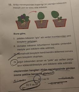 15. Afrika menekşesinden koparılan bir yaprağın köklendiril-
mesiyle yeni bir birey elde edilebilir.
Buna göre;
1. patates bitkisinin "göz" adı verilen kısımlarından yeni
bireylerin gelişmesi,
II. domates bitkisinin tohumlarının toprakta çimlendiril-
mesiyle yeni bitkilerin elde edilmesi,
III hermafrodit bireylerin kendi kendini döllemesi sonucu
yeni bireylerin oluşması,
IV. söğüt bitkisinden alınan ve "çelik" adı verilen parça-
ların köklendirilmesiyle yeni bitkilerin elde edilmesi
olaylarından hangileri Afrika menekşesinde görülen
üreme şekline benzerlik gösterir?
A) Ive H
B) I ve IV
D) II ve IV
-C) I ve III
E ti ve TV