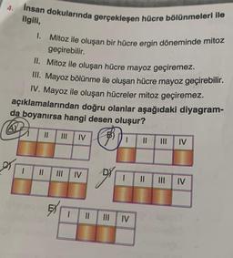 4.
insan dokularında gerçekleşen hücre bölünmeleri ile
ilgili,
I. Mitoz ile oluşan bir hücre ergin döneminde mitoz
geçirebilir.
II. Mitoz ile oluşan hücre mayoz geçiremez.
III. Mayoz bölünme ile oluşan hücre mayoz geçirebilir.
IV. Mayoz ile oluşan hücreler mitoz geçiremez.
açıklamalarından doğru olanlar aşağıdaki diyagram-
da boyanırsa hangi desen oluşur?
A
I || ||| IV
|
||
11 III IV
EX
IV
gr
|| ||| IV
|| |||
IV