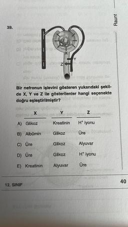 39.
spa
D) 1461
kouspust
(6) 1285 gr 11 Z
12. SINIF
cooispitvar
Bir nefronun işlevini gösteren yukarıdaki şekil-
de X, Y ve Z ile gösterilenler hangi seçenekte
doğru eşleştirilmiştir?
X
A) Glikoz
B) Albümin
C) Üre
D) Üre
E) Kreatinin
ERU EI
Y
Kreatinin
Glikoz
Glikoz
Glikoz
Y
Alyuvar
coust vapeksas
Z
H* iyonu
Üre doremune-
Alyuvar
H+ iyonu
Üre
Raunt
40