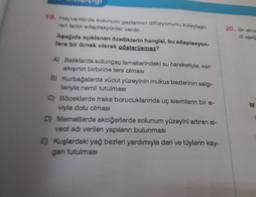 18. Hayvanlarda solunum gazlannin difüzyonunu kolaylaşt
an arkadaptasyonlar vardır.
Aşağıda açıklanan özelliklerin hangisi, bu adaptasyon-
lara bir örnek olarak gösterilemez?
A) Baliklarda solungaç lamellerindeki su hareketiyle, kan
akışının birbirine ters olması
B) Kurbağalarda vücut yüzeyinin mukus bezlerinin salg-
lanyla nemli tutulması
C) Böceklerde trake borucuklarında uç kısımların bir si-
vyla dolu olması
D) Memelilerde akciğerlerde solunum yüzeyini artıran al-
veol adı verilen yapılanın bulunması
E) Kuşlardaki yağ bezleri yardımıyla deri ve tüylerin kay-
gan tutulması
20. Breko
M