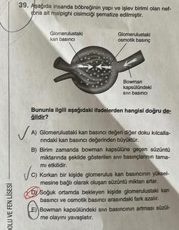 DOLU VE FEN LİSESİ
39. Aşağıda insanda böbreğinin yapı ve işlev birimi olan nef-
rona ait malpighi cisimciği şematize edilmiştir.
Glomerulustaki
kan basıncı
Glomerulustaki
osmotik basınç
Bowman
kapsülündeki
SIVI basıncı
Bununla ilgili aşağıdaki ifadelerden hangisi doğru de-
ğildir?
✓
A) Glomerulustaki kan basıncı değeri diğer doku kılcalla-
rındaki kan basıncı değerinden büyüktür.
B) Birim zamanda bowman kapsülüne geçen süzüntü
miktarında şekilde gösterilen sivi basınçlarının tarna-
mi etkilidir.
Ja
Korkan bir kişide glomerulus kan basıncının yüksel-
mesine bağlı olarak oluşan süzüntü miktarı artar.
Dy Soğuk ortamda bekleyen kişide glomerulustaki kan
basıncı ve osmotik basıncı arasındaki fark azalır.
E) Bowman kapsülündeki sivi basıncının artması süzül-
me olayını yavaşlatır.