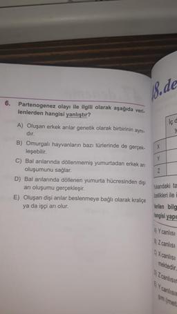 6.
Partenogenez olayı ile ilgili olarak aşağıda veri-
lenlerden hangisi yanlıştır?
A) Oluşan erkek arılar genetik olarak birbirinin aynı-
dır.
B) Omurgalı hayvanların bazı türlerinde de gerçek-
leşebilir.
C) Bal arılarında döllenmemiş yumurtadan erkek ar
oluşumunu sağlar.
D) Bal arılarında döllenen yumurta hücresinden dişi
arı oluşumu gerçekleşir.
E) Oluşan dişi arılar beslenmeye bağlı olarak kraliçe
ya da işçi arı olur.
8.de
X
Y
Z
lç d
y
Yukarıdaki ta
özellikleri ile
Verilen bilg
hangisi yapı
A) Y canlısı
B) Z canlısı
C) X canlısı
mektedir.
D) Zcanlısın
BY canlısın
Sim (met