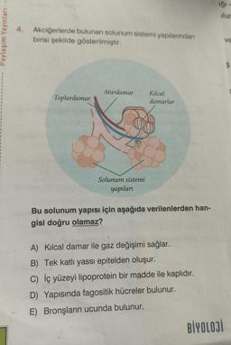 Paylaşım Yayınları -
4. Akciğerlerde bulunan solunum sistemi yapılarından
birisi şekilde gösterilmiştir.
Toplardamar
Atardamar
Solunum sistemi
yapıları
Kılcal
damarlar
Bu solunum yapısı için aşağıda verilenlerden han-
gisi doğru olamaz?
A) Kılcal damar ile gaz değişimi sağlar.
B) Tek katlı yassı epitelden oluşur.
C) İç yüzeyi lipoprotein bir madde ile kaplıdır.
D) Yapısında fagositik hücreler bulunur.
E) Bronşların ucunda bulunur.
iği-
lur
BİYOLOJİ
ve