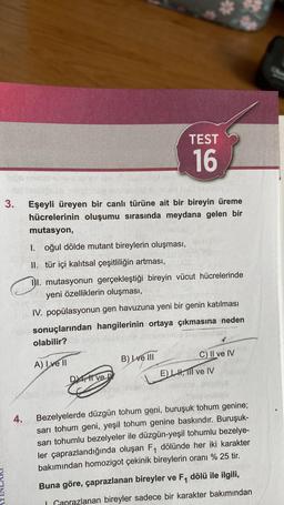 3.
4.
Eşeyli üreyen bir canlı türüne ait bir bireyin üreme
hücrelerinin oluşumu sırasında meydana gelen bir
mutasyon,
I. oğul dölde mutant bireylerin oluşması,
II. tür içi kalıtsal çeşitliliğin artması,
II. mutasyonun gerçekleştiği bireyin vücut hücrelerinde
yeni özelliklerin oluşması,
IV. popülasyonun gen havuzuna yeni bir genin katılması
sonuçlarından hangilerinin ortaya çıkmasına neden
olabilir?
A) I ve II
DI ve
TEST
16
25
B) Lve III
C) II ve IV
E) LH, Il ve IV
Bezelyelerde düzgün tohum geni, buruşuk tohum genine;
sarı tohum geni, yeşil tohum genine baskındır. Buruşuk-
sarı tohumlu bezelyeler ile düzgün-yeşil tohumlu bezelye-
ler çaprazlandığında oluşan F₁ dölünde her iki karakter
bakımından homozigot çekinik bireylerin oranı % 25 tir.
Buna göre, çaprazlanan bireyler ve F₁ dölü ile ilgili,
Caprazlanan bireyler sadece bir karakter bakımından