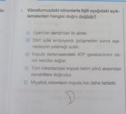 la-
1. Vücudumuzdaki nöronlarla ilgili aşağıdaki açık-
lamalardan hangisi doğru değildir?
A) Uyartıları dendritleri ile alırlar.
B) Dört aylık embriyonik gelişmeden sonra reje-
nerasyon yeteneği azalır.
C) Impuls ilerlemesindeki ATP gereksinimini nö-
ron kendisi sağlar.
D) Tüm nöronlardaki impuls iletim yönü aksondan
dendritlere doğrudur.
E) Miyelinli nöronların impuls hızı daha fazladır.