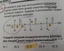 DEBI
NLARI
16. Proteinlerin yapı taşı aminoasitlerin birbirlerine
yapılarındaki farklı gruplar arasında peptit bağı
kurularak bağlanır. Aşağıda 3 aminoasitten oluşan
tripeptit şematize edilmiştir.
H.N
HIO
R₁
610
13
O
14 ||
HTCIR
HIC
N-C-C-N-C-C- OH
1
H
| |
H
5
|
R₂
3
Tripeptit üzerinde numaralandırılmış kısımlar
dan hangisi peptit bağını göstermektedir?
A) 1
B) 2
C) 3
D) 4
E) 5