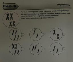 Etkinlik -32
XX
XX
18
18
XX
11
Mayoz Bölünme
Yanda, bir hücrenin çekirdeği içindeki kromozomlar şematik olarak gösterilmiştir.
Bu hücre mayoz bölünme geçirdiğinde, bölünmenin tamamlanmasıyla aşağı-
dakilerden hangisi veya hangilerinin oluşması beklenmez?
Uygun şekillerin yanındaki kutucuğa (X) işareti koyunuz.
18
f