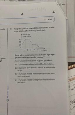 Alti
grubu
geno-
z?
BILIM ANAHTARI YAYINLARI
Aminoasit
A
AHücredeki
4C
3C
2C
C
31. Aşağıdaki grafikte mayoz bölünmenin farklı evrele-
rinde görülen DNA miktarı gösterilmiştir.
DNA miktarı
1
H&M
2 3
AYT TG-2
A
4 5 Evreler
Buna göre, numaralandırılan evrelerle ilgili aşa-
ğıdaki ifadelerden hangisi yanlıştır? smus
A) 2 numaralı evrede tetrat oluşumu gerçekleşir.
B) 1 numaralı evrede serbest nükleotitler kullanılır.
C) 3 numaralı evre sonrası haploit iki tane hücre
oluşur.
D) 5 numaralı evrede homolog kromozomlar farklı
kutuplara geçer.
E) 4 numaralı evrede kardeş kromatitler birbirlerin-
den ayrılır.
→lar (Örn:
denn
wel
Tom
WH