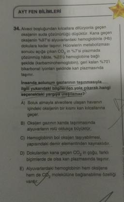 AYT FEN BİLİMLERİ
34. Alveol boşluğundan kılcallara difüzyonla geçen
oksijenin suda çözünürlüğü düşüktür. Kana geçen
oksijenin %97'si alyuvarlardaki hemoglobinle (Hb)
dokulara kadar taşınır. Hücrelerin metabolizması
sonucu açığa çıkan CO₂ in %7'si plazmada
çözünmüş hâlde, %23'ü hemoglobine bağlı
şekilde (karbaminohemoglobin), geri kalan %70'i
bikarbonat iyonları şeklinde kan plazmasında
taşınır.
İnsanda solunum gazlarının taşınmasıyla.
ilgili yukarıdaki bilgilerden yola çıkarak hangi
seçenekteki yargıya ulaşılamaz?
A) Soluk almayla alveollere ulaşan havanın
içindeki oksijenin bir kısmı kan kılcallarına
geçer.
B) Oksijen gazının kanda taşınmasında
alyuvarların rolü oldukça büyüktür.
C) Hemoglobinin bol oksijen taşıyabilmesi,
yapısındaki demir elementinden kaynaklıdır.
D) Dokulardan kana geçen CO₂ in çoğu, farklı
biçimlerde de olsa kan plazmasında taşınır.
E) Alyuvarlardaki hemoglobinin hem oksijene
hem de CO₂ molekülüne bağlanabilme özelliği
vardır.