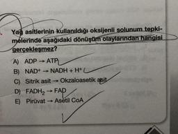 Yağ asitlerinin kullanıldığı oksijenli solunum tepki-
melerinde aşağıdaki dönüşüm olaylarından hangisi
gerçekleşmez?
A)
ADP ATP
→
B) NAD+ → NADH + H+C
C) Sitrik asit → Okzaloasetik asit
D) FADH₂ → FAD
E)
Pirüvat Asetil COA