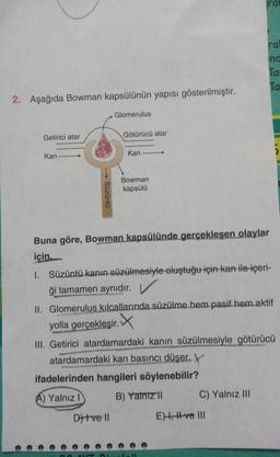 2. Aşağıda Bowman kapsülünün yapısı gösterilmiştir.
Getirici atar
Kan
D) +ve Il
Glomerulus
AVT D
Götürücü atar
Kan
Bowman
kapsülü
Buna göre, Bowman kapsülünde gerçekleşen olaylar
için.
1. Süzüntü kanın süzülmesiyle oluştuğu için kan ile içeri-
ği tamamen aynıdır.
II. Glomerulus kılcallarında süzülme hem pasif hem.aktif
yolla gerçekleşir.
III. Getirici atardamardaki kanın süzülmesiyle götürücü
atardamardaki kan basıncı düşer.
ifadelerinden hangileri söylenebilir?
A) Yalnız I
B) Yalnız II
Latt
C) Yalnız III
ra
E), ve III
nc
Tar
Ta