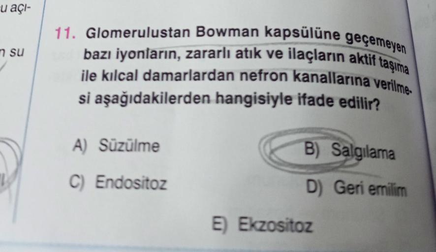 u açı-
n su
11. Glomerulustan Bowman kapsülüne geçemeyen
bazı iyonların, zararlı atık ve ilaçların aktif taşıma
ile kılcal damarlardan nefron kanallarına verilme
si aşağıdakilerden hangisiyle ifade edilir?
A) Süzülme
C) Endositoz
B) Salgılama
D) Geri emili