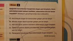 ardır.
.
çev-
asılı-
Oferte
Örnek 8
Aşağıdaki durumlardan hangisinde oluşan yeni bireylerin, hücre
çekirdeklerindeki kalıtsal özellikleri, atasınınkine bire bir benze-
meyebilir? (Mutasyon gerçekleşmediği kabul edilecektir.)
A) Ana bireyde oluşan bir tomurcuktan gelişen yeni bir bireyin
B) Mitozla oluşan diploit spordan gelişen yeni bir bireyin
C) Hermafrodit iki canlının birbirlerini döllemesiyle oluşan bireylerin
D) Diploit bir canlının diploit yumurtasından partenogenezte gelişen
yeni bir bireyin
E) Planaryanın vücudunun ikiye bölünmesiyle oluşan bireylerin X
ÖSYM Sorususu
Çözüm