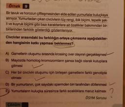 Örnek 9
Bir tavuk ve horozun çiftleşmesinden elde edilen yumurtalar kuluçkaya
alınıyor. Yumurtadan çıkan civcivlerin tüy rengi, ibik biçimi, tepelik şek-
li ve kuyruk biçimi gibi bazı karakterlere ait özellikler bakımından bir-
birlerinden farklılık gösterdiği gözlemleniyor.
Civcivler arasındaki bu farklılığın ortaya çıkmasına aşağıdakiler-
den hangisinin katkı yapması beklenmez?
A) Gametlerin oluşumu sırasında krossing over olayının gerçekleşmesi
B) Mayozda homolog kromozomların şansa bağlı olarak kutuplara
gitmesi
C) Her bir civcivin oluşumu için birleşen gametlerin farklı genotipte
olması
D) Bir yumurtanın, çok sayıdaki spermden biri tarafından döllenmesi
E) Yumurtaların kuluçka süresince farklı sıcaklıklara maruz kalması
ÖSYM Sorusu
Çözüm