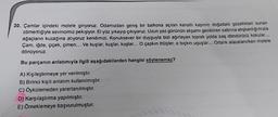 20. Çamlar içindeki motele giriyoruz. Odamızdan geniş bir balkona açılan kanatlı kapının doğadaki güzellikleri sunan
comertliğiyle sevincimiz pekişiyor. El yüz yıkayıp çıkıyoruz. Uzun yaz gününün akşamı geciktiren sabrina alışkanlığımızla
ağaçların kucağına atıyoruz kendimizi. Konuksever bir duyguyla bizi ağırlayan toprak yolda baş döndürücü kokular...
Çam, iğde, çiçek, çimen... Ve kuşlar, kuşlar, kuşlar... O çapkın ötüşler, o bıçkın uçuşlar... Ortalık alacalanırken motele
dönüyoruz.
Bu parçanın anlatımıyla ilgili aşağıdakilerden hangisi söylenemez?
A) Kişileştirmeye yer verilmiştir
B) Birinci kişili anlatım kullanılmıştır.
C) Öykülemeden yararlanılmıştır.
D) Karşılaştırma yapılmıştır.
E) Ömeklemeye başvurulmuştur.