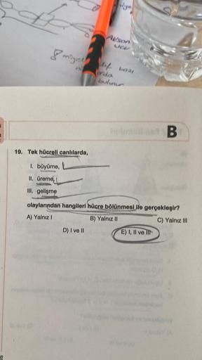 S
miyel lifb021
PA
19. Tek hücreli canlılarda,
1. büyüme,
II. üreme,
III. gelişme
Auson
D) I ve II
borda
bulunur
hel
olaylarından hangileri hücre bölünmesi ile gerçekleşir?
A) Yalnız I
B) Yalnız II
C) Yalnız III
E) I, II ve II
70