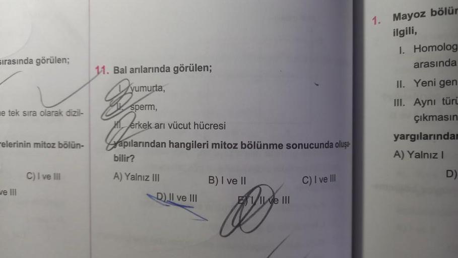 sırasında görülen;
e tek sıra olarak dizil-
relerinin mitoz bölün-
we III
C) I ve III
11. Bal arılarında görülen;
yumurta,
B
Min forke
apılarından hangileri mitoz bölünme sonucunda oluşa
bilir?
A) Yalnız III
sperm,
Mérkek arı vücut hücresi
D) II ve III
B) 