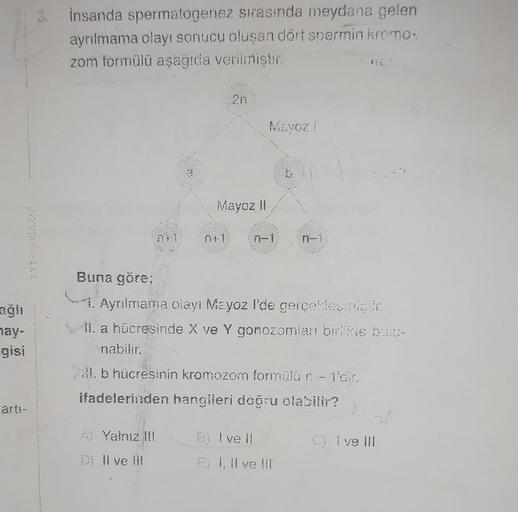 gisi
artı-
İnsanda spermatogenez sırasında meydana gelen
ayrılmama olayı sonucu oluşan dört spermin kromo:
zom formülü aşağıda verilmiştir.
Mayoz II
7-1
A) Yalnız III
Buna göre;
1. Aynılmama olayı Mayoz l'de gerçekleşmiştir
II. a hücresinde X ve Y gonozoml