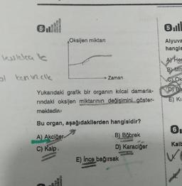 Gull
kulelea le
al kon incik
Oksijen miktarı
→→ Zaman
Yukarıdaki grafik bir organın kılcal damarla-
rındaki oksijen miktarının değişimini göster-
mektedir
EFTC
Bu organ, aşağıdakilerden hangisidir?
A) Akciğer.
C) Kalp.
B) Böbrek
D) Karaciğer
E) İnce bağırsak
3₁l
Alyuva
hangis
A) Her
B) Mit
CLOK
D) Ba
E) Ki
6
1
Kalb
✓✓.