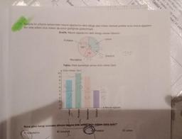 K
19. Aşağıda bir çiftçinin tarlasındaki meyve ağaçlarının dikili olduğu alan miktarı dairesel grafikte ve bu meyve ağaçların-
dan elde edilen ürün miktarı da sütun grafiğinde gösterilmiştir.
Grafik: Meyve ağaçlarının dikili olduğu alanlar (dönüm)
10
9
8
7
-6543NTO
Suba
2
1-
0
Portakal
Mandalina
Tablo: Dikili alanlardan alınan ürün miktarı (ton)
A Ürün miktarı (ton)
8
150°
Limon
Portakal
D
75°
Mandalina
Greyfurt
Limon
Greyfurt
Portakal
Meyve ağaçları
Buna göre hangi üründen dönüm başına elde edilen ürün miktarı daha azdır?
A) Mandalina
B) Greyfurt
315
Sinar
D) Limon
Fasikul 4
h Fasikül
em Bilgisi (40
(30 soru)
40 soru)
visa (41 say
0 scru