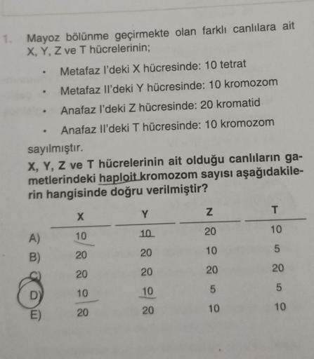 1. Mayoz bölünme geçirmekte olan farklı canlılara ait
X, Y, Z ve T hücrelerinin;
Metafaz l'deki X hücresinde: 10 tetrat
Metafaz Il'deki Y hücresinde: 10 kromozom
Anafaz l'deki Z hücresinde: 20 kromatid
Anafaz Il'deki T hücresinde: 10 kromozom
sayılmıştır.
