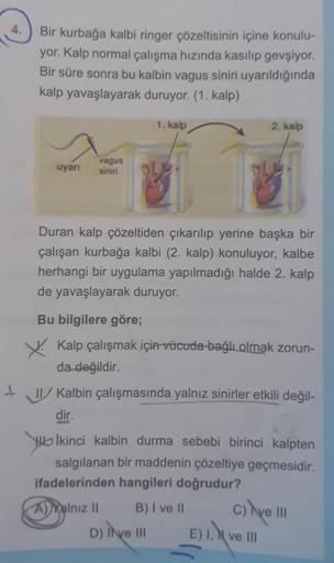 4.
Bir kurbağa kalbi ringer çözeltisinin içine konulu-
yor. Kalp normal çalışma hızında kasılıp gevşiyor.
Bir süre sonra bu kalbin vagus siniri uyarıldığında
kalp yavaşlayarak duruyor. (1. kalp)
uyarı
X
vagus
siniri
1. kalp
Duran kalp çözeltiden çıkarılıp 