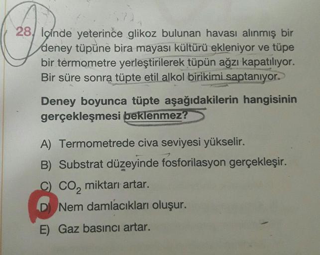 28, içinde yeterince glikoz bulunan havası alınmış bir
deney tüpüne bira mayası kültürü ekleniyor ve tüpe
bir termometre yerleştirilerek tüpün ağzı kapatılıyor.
Bir süre sonra tüpte etil alkol birikimi saptanıyor.
Deney boyunca tüpte aşağıdakilerin hangisi