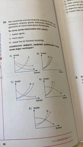 20. Dişi vücudunda yumurta kanalında oluşmuş bir zigot, seg
mentasyon sürecine girerek bölünmeye başlamış ve dut
görünümlü bir hücre topluluğuna dönüşmüştür.
Bu süreç içinde bölünmekte olan yapıda,
I. toplam ağırlık,
II. hücre sayısı,
III. oluşan her bir h