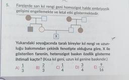 5.
Farelerde sarı kıl rengi geni homozigot halde embriyonik
gelişimi engellemekte ve letal etki göstermektedir.
Yukarıdaki soyağacında taralı bireyler kıl rengi ve uzun-
luğu bakımından çekinik fenotipte olduğuna göre, X ile
gösterilen farenin, heterozigot baskın özellik gösterme
ihtimali kaçtır? (Kısa kıl geni, uzun kıl genine baskındır.)
1
9
D) 34
4
16
A)
13
B)
X
23
C)
E)