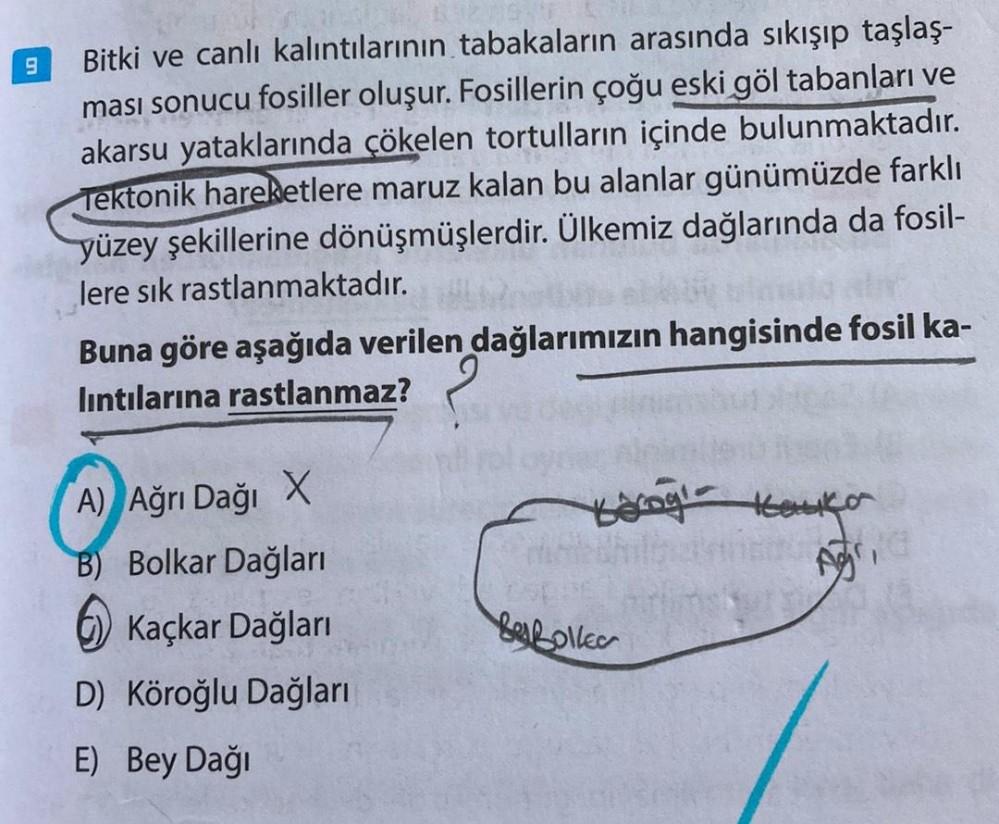 9
Bitki ve canlı kalıntılarının tabakaların arasında sıkışıp taşlaş-
ması sonucu fosiller oluşur. Fosillerin çoğu eski göl tabanları ve
akarsu yataklarında çökelen tortulların içinde bulunmaktadır.
Tektonik hareketlere maruz kalan bu alanlar günümüzde fark