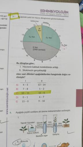 nda ger-
ağırlığı
mındaki
ğıdaki-
man
man
man
man
an
www.seninbiyolojin.net
4.
3.*
Aşağıdaki şekil bir hücre döngüsünü göstermektedir.
bölünme
saatler
13
12
A)
B)
C)
D)
E)
11
14
10
15
G₂ fazı
1
4-5
7-8
10 - 11
0-1
15-0
SENINBIYOLOJIN
Mitoz ve Eşeysiz Üreme