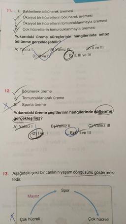 11. I. Bakterilerin bölünerek üremesi
Ökaryot bir hücrelilerin bölünerek üremesi
Ökaryot bir hücrelilerin tomurcuklanmayla üremesi
V Çok hücrelilerin tomurcuklanmayla üremesi
Yukarıdaki üreme süreçlerinin hangilerinde mitoz
bölünme gerçekleşebilir?
A) Yalnız I
Dve IV
20
12. Bölünerek üreme
A) Yalnız I
Tomurcuklanarak üreme
B Yalnız LV
DI ve Il
H. Sporla üreme
Yukarıdaki üreme çeşitlerinin hangilerinde döllenme
gerçekleşmez?
Mayoz
Çok hücreli
EXII, III ve IV
II ve III
B) Yalniz II
13. Aşağıdaki şekil bir canlının yaşam döngüsünü göstermek-
tedir.
Spor
C Yalnız III
EII ve III
Çok hücreli