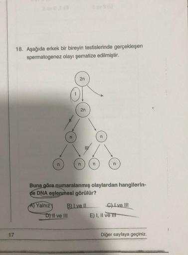 17
18. Aşağıda erkek bir bireyin testislerinde gerçekleşen
spermatogenez olayı şematize edilmiştir.
A) Yalnız
2n
2n
D) II ve III
n
B) Lve Il
n
Buna göre numaralanmış olaylardan hangilerin-
de DNA eşlenmesi görülür?
n
n
C) I ve III
E) I, II ve Tit
Diğer say