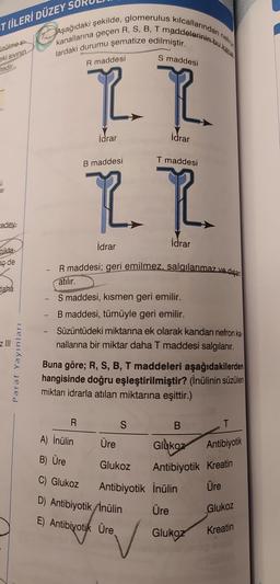 ST (İLERİ DÜZEY SO
izülme si-
eki sıvının
tedir.
J
ar
edey-
mikta
ç de
daha
E
z |||
Aşağıdaki şekilde, glomerulus kılcallarından
kanallarına geçen R, S, B, T maddelerinin buk
lardaki durumu şematize edilmiştir.
Paraf Yayınları
S maddesi
R maddesi
2.
R.
idrar
idrar
R
T maddesi
2.2.
A) İnülin
B) Üre
B maddesi
İdrar
R maddesi; geri emilmez, salgılanmaz ve dişan
atılır.
S maddesi, kısmen geri emilir.
B maddesi, tümüyle geri emilir.
- Süzüntüdeki miktarına ek olarak kandan nefron ka-
nallarına bir miktar daha T maddesi salgılanır.
Buna göre; R, S, B, T maddeleri aşağıdakilerden
hangisinde doğru eşleştirilmiştir? (İnülinin süzülen
miktarı idrarla atılan miktarına eşittir.)
idrar
S
B
T
Üre
Glukoz Antibiyotik
Glukoz
Antibiyotik Kreatin
Antibiyotik İnülin Üre
Üre
Glukoz
Glukoz
C) Glukoz
D) Antibiyotik /İnülin
E) Antibiyotik Üre
Kreatin