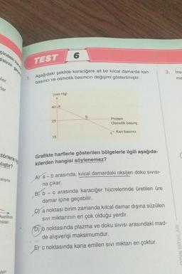 çindeki kande
isinin geçm
ler
lar
törlerle ilg
liştır?
calışma
Asetilkolin
miktan
fein
TEST
1. Aşağıdaki şekilde karaciğere ait bir kılcal damarda kan
basıncı ve osmotik basıncın değişimi gösterilmiştir.
(mm Hg)
40 a
25
6
15
b
Protein
Osmotik basınç
C
Kan basıncı
Grafikte harflerle gösterilen bölgelerle ilgili aşağıda-
kilerden hangisi söylenemez?
A) a - b arasında, kılcal damardaki oksijen doku sivisi-
na çıkar.
B) b-c arasında karaciğer hücrelerinde üretilen üre
damar içine geçebilir.
C) a noktası birim zamanda kılcal damar dışına süzülen
SIVI miktarının en çok olduğu yerdir.
3. İnsa
ma
D)b noktasında plazma ve doku sıvısı arasındaki mad-
de alışverişi maksimumdur.
c noktasında kana emilen sivi miktarı en çoktur.
OYDIN YAYINLARI