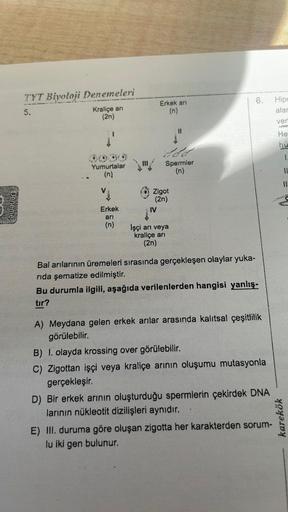 TYT Biyoloji Denemeleri
5.
Kraliçe arı
(2n)
Yumurtalar
(n)
Erkek
arı
(n)
Erkek arı
(n)
IV
Zigot
(2n)
Spermler
(n)
11
İşçi arı veya
kraliçe arı
(2n)
6. Hipo
alar
veri
Bal arılarının üremeleri sırasında gerçekleşen olaylar yuka-
rida şematize edilmiştir.
Bu