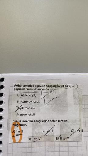 AAbb genotipli birey ile aaBb genotipli bireyin
çaprazlanması sonucunda;
1. Ab fenotipli,
II. AaBb genotipli,
TxaB fenotipli,
IV. ab fenotipli
özelliklerinden hangilerine sahip bireyler AS
oluşabilir?
A) I ve II
D) II ve IV
B) I ve III
III ve IV
C) II ve I