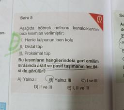 an-
Soru 5
Aşağıda böbrek nefronu kanalcıklarının
bazı kısımları verilmiştir;
1. Henle kulpunun inen kolu
II. Distal tüp
III. Proksimal tüp
Bu kısımların hangilerindeki geri emilim
sırasında aktif ve pasif taşımanın her iki-
si de görülür?
A) Yalnız I
B) Yalnız III
D) II ve III
C) I ve III
E) I, II ve III
So
As
de
yo
A
C